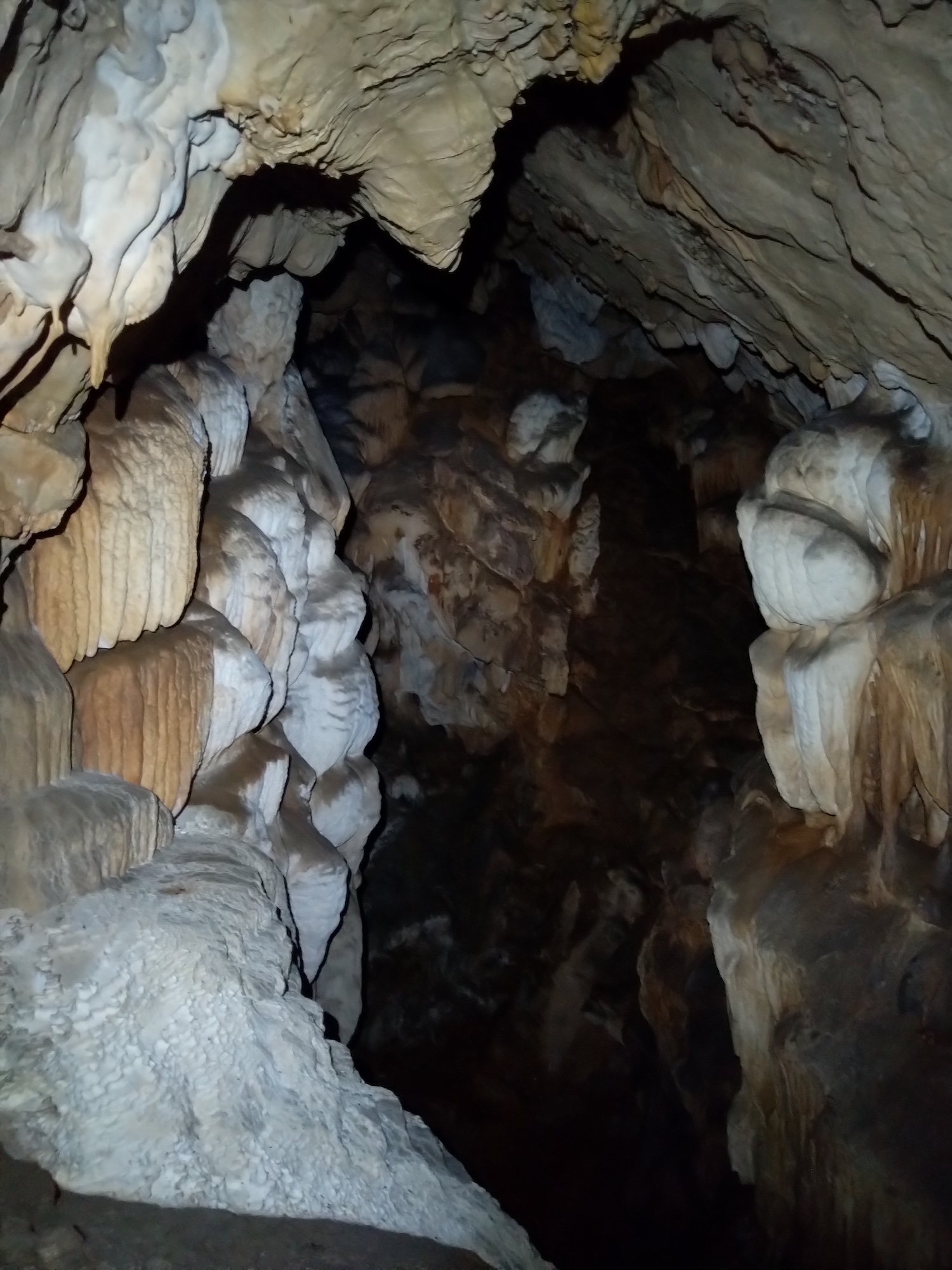 Peștera Toplița Nr.3 - Image 4